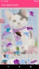 Cats Jigsaw Puzzle screenshot 7