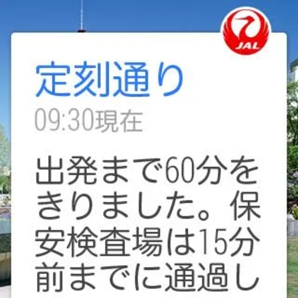 JAL Count - Preview 5