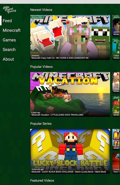 LittleLizardGaming - Preview 11