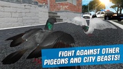 City Bird Pigeon Simulator 3D screenshot 3