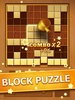 Wood Block Puzzle screenshot 9