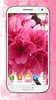 Bonito Flores Rosa Fundo HD screenshot 3