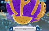 Cell World screenshot 4