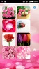 Roses flower Wallpapers screenshot 3