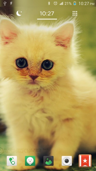 Cat Wallpapers Cute - Preview 5