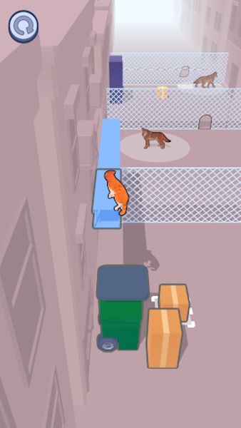 Stray Cat - Preview 4