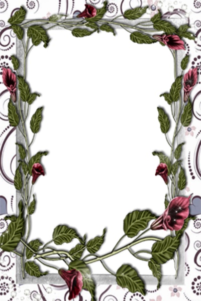 Beautiful PhotoFrames - Preview 22