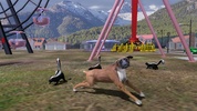Boxer Dog Simulator screenshot 6