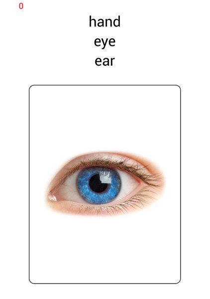 Learn and play MULTI lingual free - Preview 7