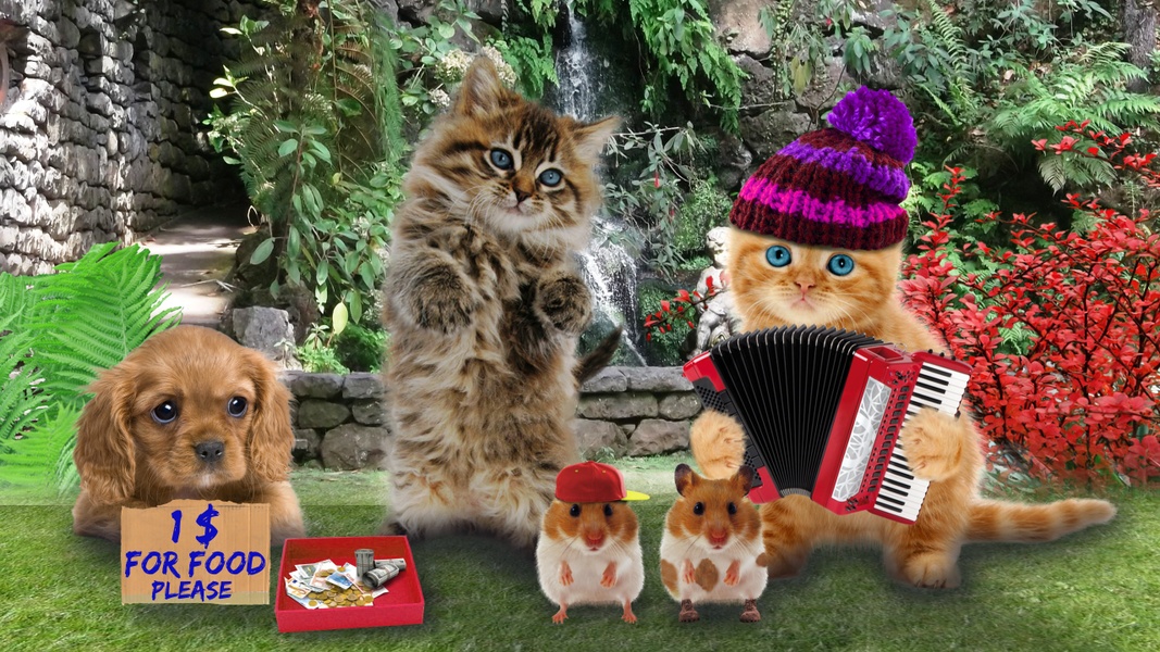 Funny Talking Cats - Preview 2