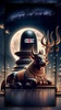 Lord Shiva Wallpaper screenshot 6