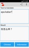 Indonesian Chinese Translator screenshot 4