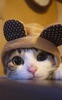 Cute Animals Live Wallpaper screenshot 7