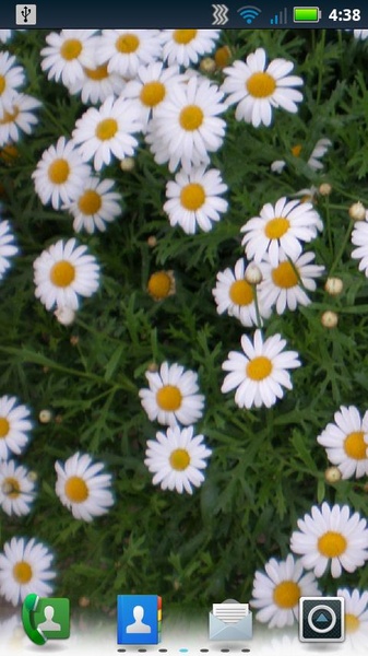 Daisies Live Wallpaper - Preview 6