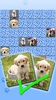 Puppy Games Kids - Cool Puppies for Cool Kids screenshot 4