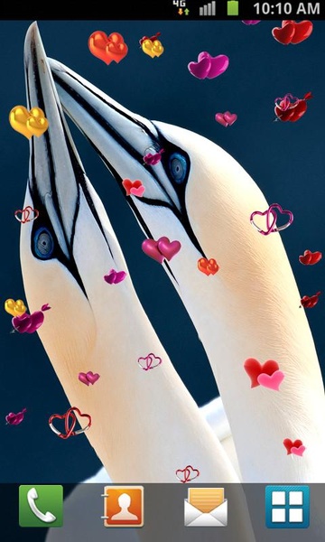Love Birds Live Wallpaper - Preview 16