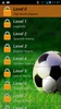 ผู้เล่นฟุตบอลแบบทดสอบ 2016 screenshot 19