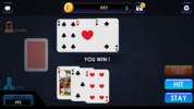 Casino Classic Game screenshot 1