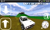 BB Rally Lite screenshot 3