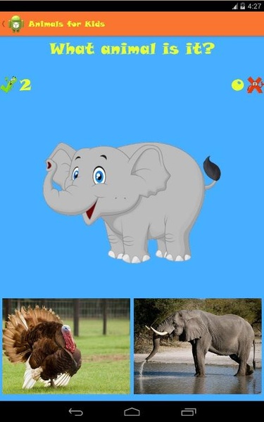 Animals for Kids - Preview 7