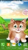 Kitten Live Wallpaper screenshot 4