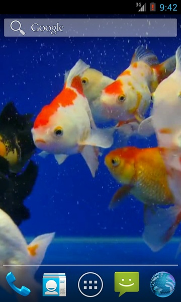 Gold Fish - Preview 3
