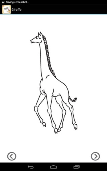 Lets Draw Animals - Preview 1