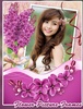 Flower Picture Frames screenshot 7