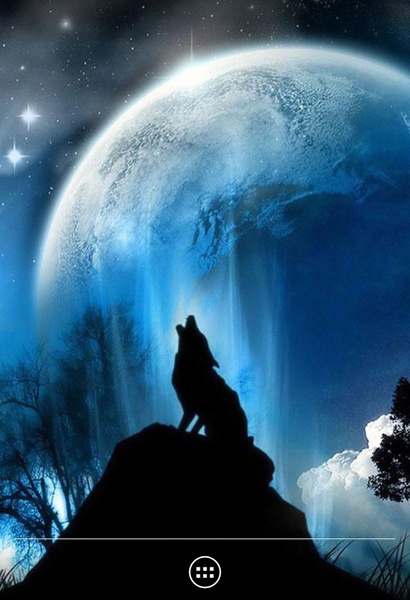 Wolf - Preview 3