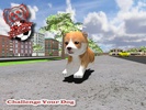 My Cute Pet Dog Puppy Jack Sim screenshot 7