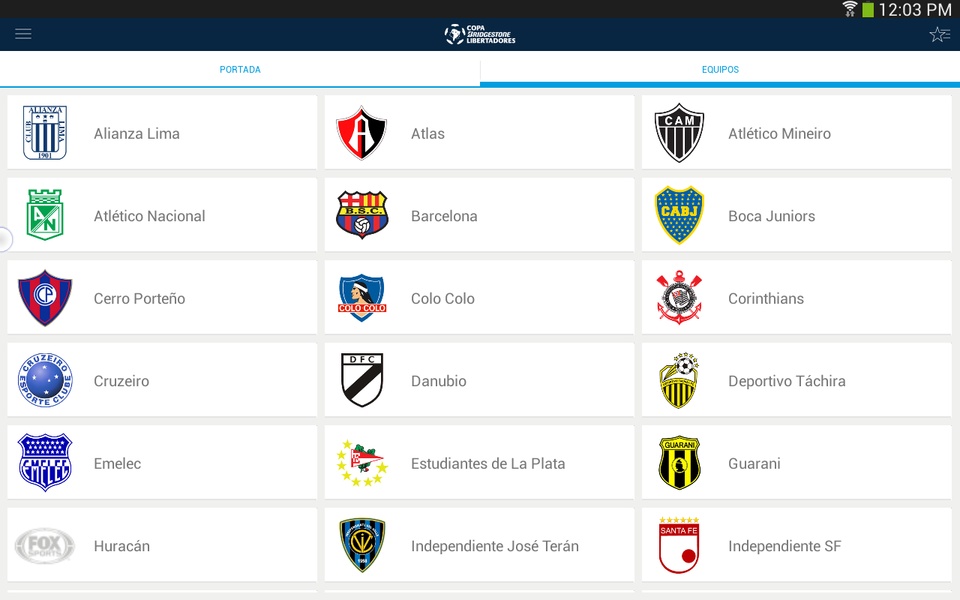 Copa Bridgestone Libertadores - Preview 13