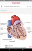 Pocket Anatomy and Physiology screenshot 12