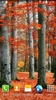 Осенний Листопад Живые Обои screenshot 6
