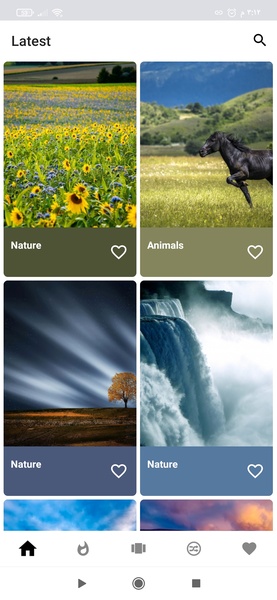 Wallpaper by Rimu - Preview 1