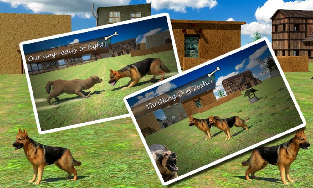 Farm Dog Fight - Preview 13