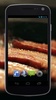 Fried Bacon Video Live Wallpaper screenshot 4