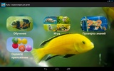 Рыбы - энциклопедия для детей screenshot 5