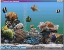 SereneScreen Aquarium screenshot 1