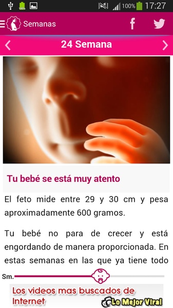 Semanas Embarazo - Preview 14