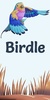 Birdle screenshot 12