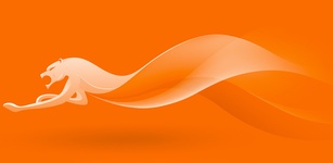 صورة مميزة لـCM Browser