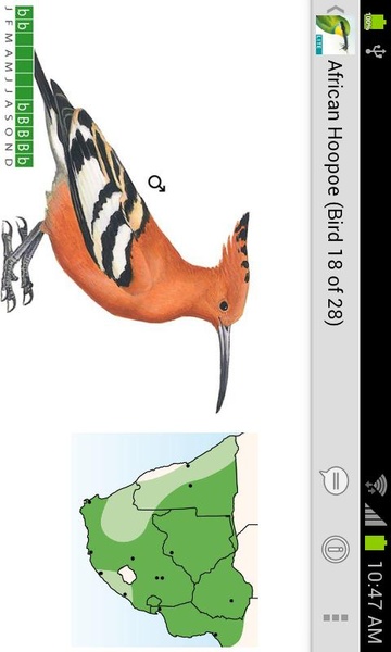 Sasol eBirds (Lite) - Preview 5