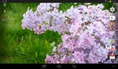 Lilacs Live Wallpaper screenshot 2