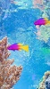 Seabed Live Wallpaper screenshot 1