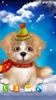 Cute Puppy Live Wallpaper screenshot 1