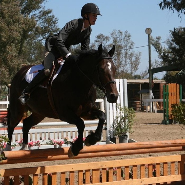 EquestrianNobleSports - Preview 2