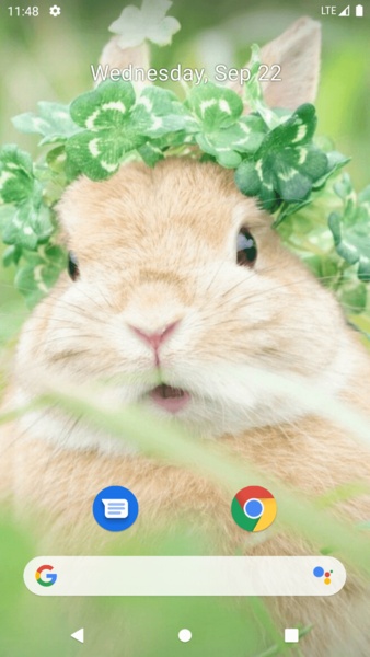 Rabbit Wallpaper - Preview 7