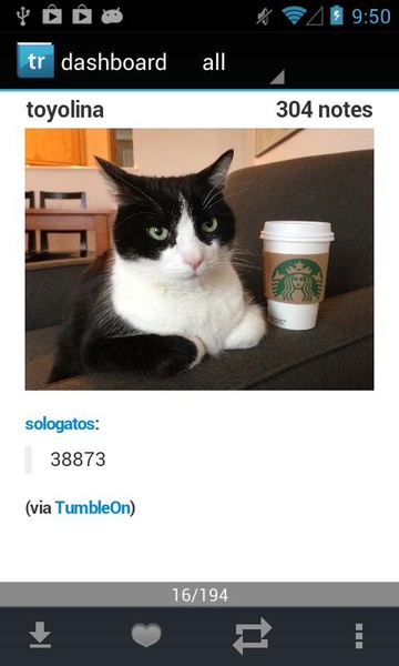 Tumblrunning for Free - Tumblr - Preview 3