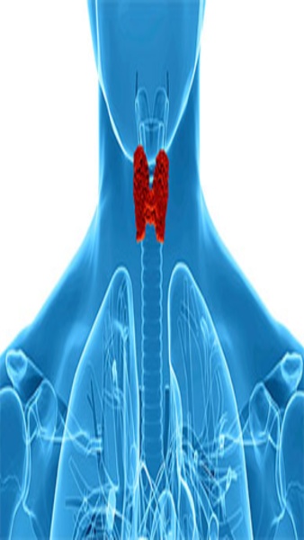 Living With Thyroid Dysfunction: Complete Guide - Preview 1