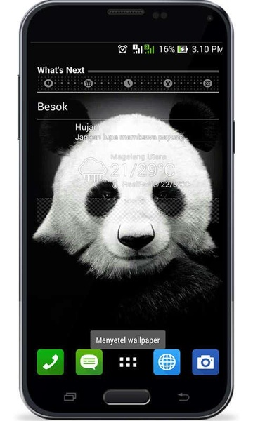 Panda themes - Preview 3